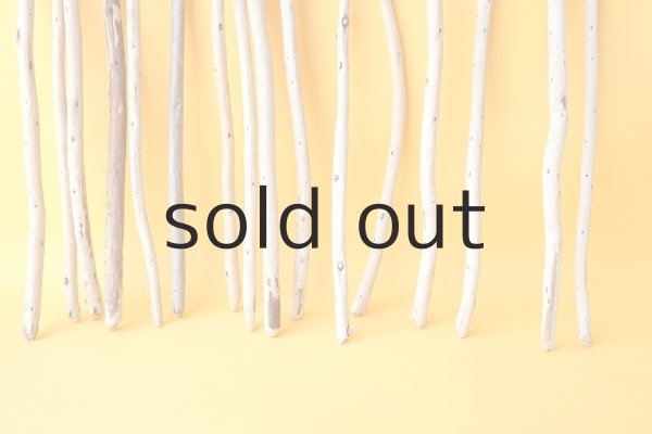 画像4: 棒流木セット (4)