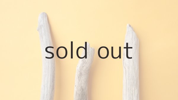 画像4: 小枝流木セット (4)