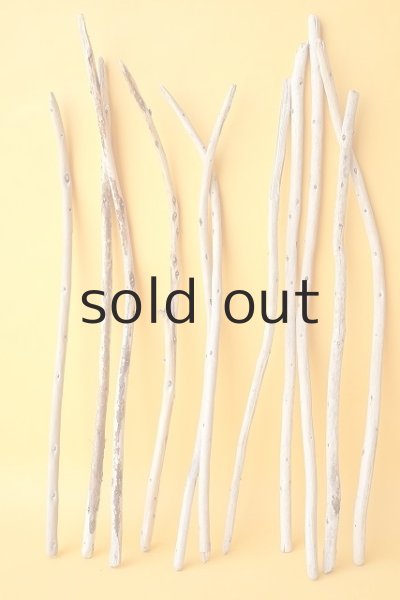 画像4: 棒流木セット (4)