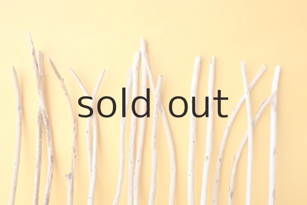 画像3: 棒流木セット (3)