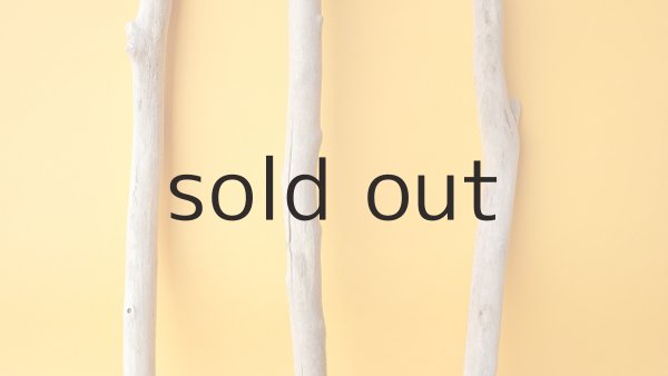 画像3: 小枝流木セット (3)