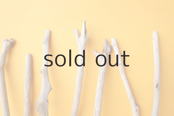 画像4: 小枝流木セット (4)