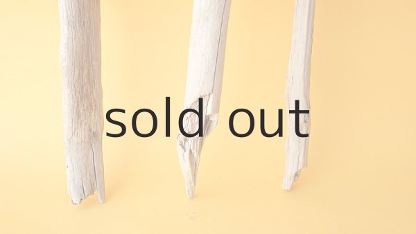 画像2: 小枝流木セット (2)