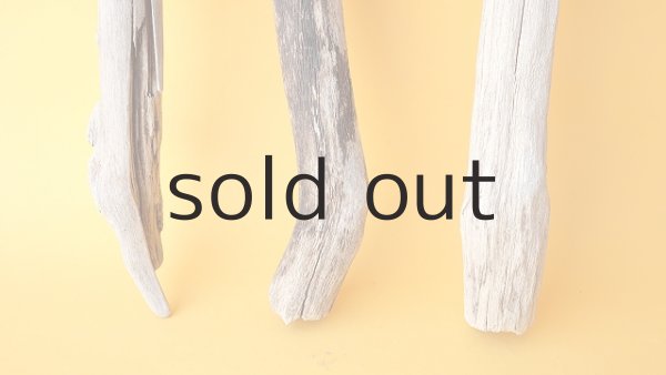 画像2: 小枝流木セット (2)