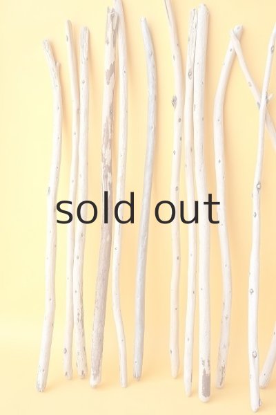 画像2: 棒流木セット (2)