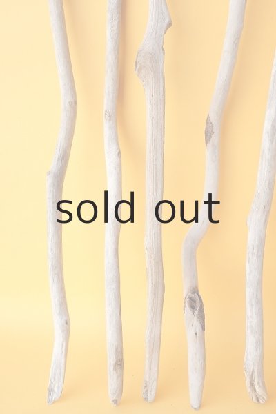 画像5: 小枝流木セット (5)