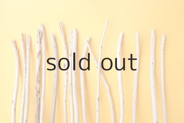 画像5: 棒流木セット (5)