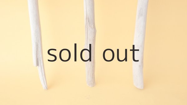 画像2: 小枝流木セット (2)