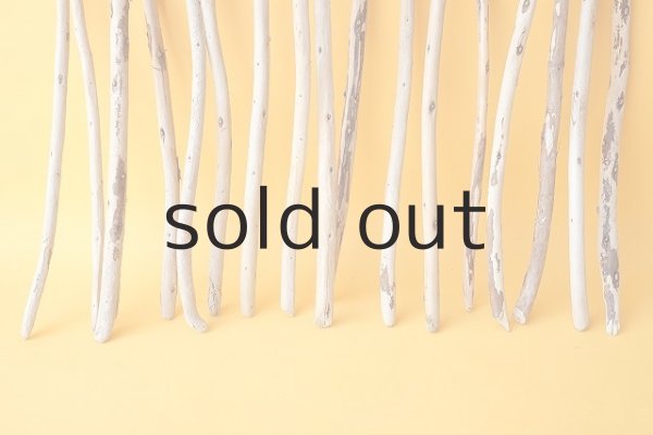 画像2: 棒流木セット (2)