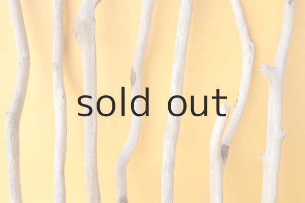 画像3: 小枝流木セット (3)