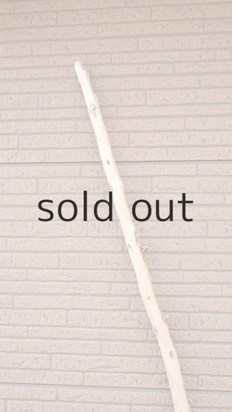 画像4: 棒流木・長尺 (4)