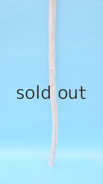 画像2: 棒流木・長尺 (2)