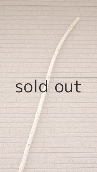 画像4: 棒流木・長尺 (4)