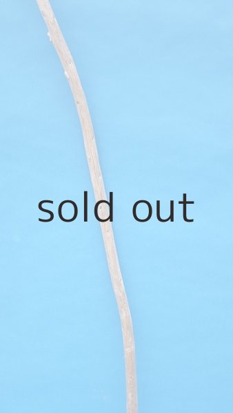 画像3: 棒流木・長尺 (3)