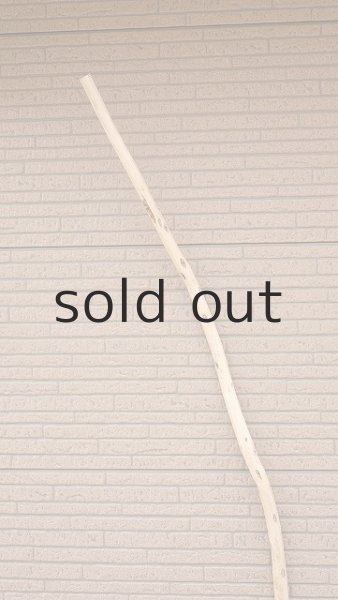 画像4: 棒流木・長尺 (4)