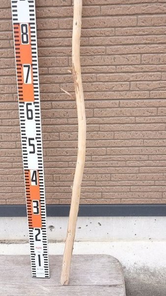 画像5: 棒流木・長尺 (5)