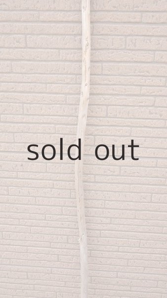 画像3: 棒流木・長尺 (3)