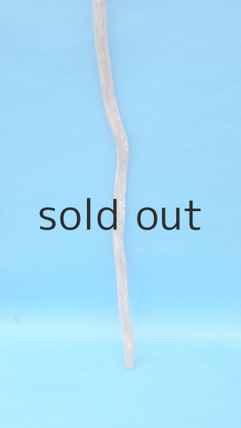 画像2: 棒流木・長尺 (2)