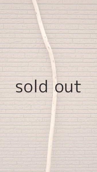 画像3: 棒流木・長尺 (3)