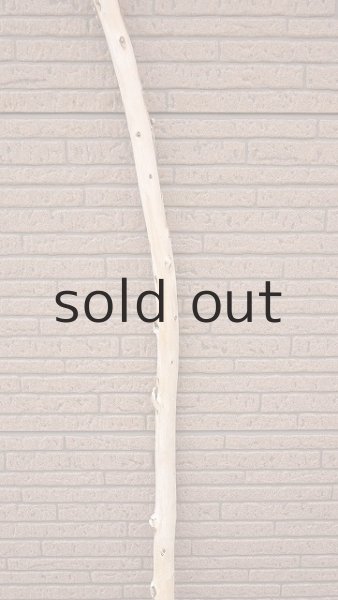 画像3: 棒流木・長尺 (3)