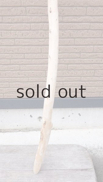 画像2: 棒流木・長尺 (2)