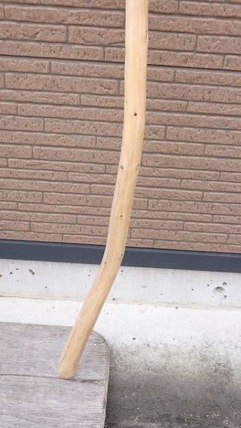 画像5: 棒流木・長尺 (5)