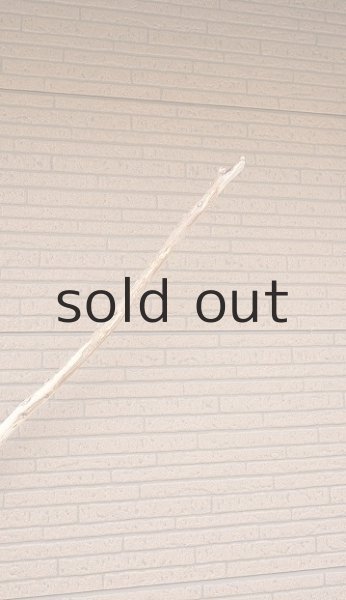 画像5: 棒流木・長尺 (5)