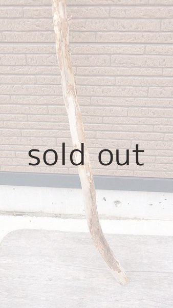 画像2: 棒流木・長尺 (2)