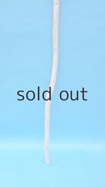 画像2: 棒流木・長尺 (2)