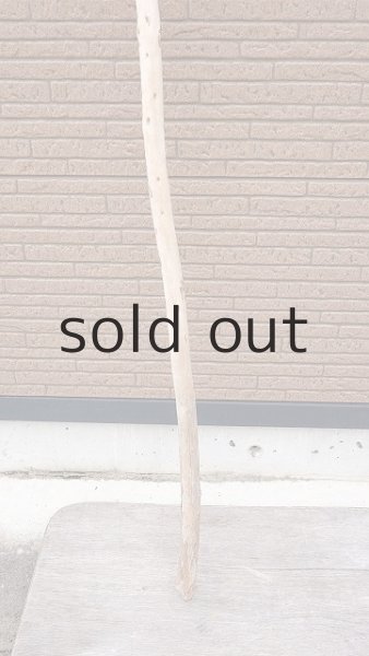 画像2: 棒流木・長尺 (2)