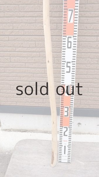 画像5: 棒流木・長尺 (5)