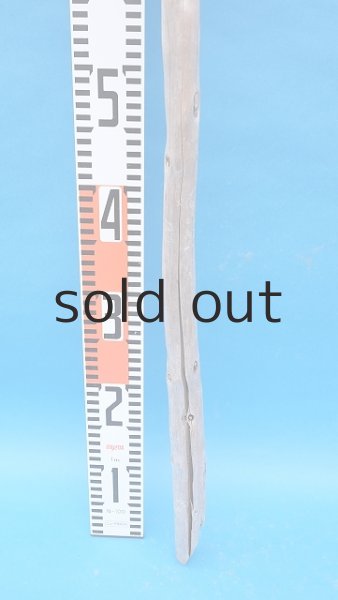 画像5: 棒流木・長尺 (5)