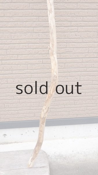 画像6: 棒流木・長尺 (6)