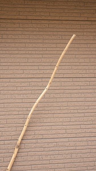 画像4: 棒流木・長尺 (4)