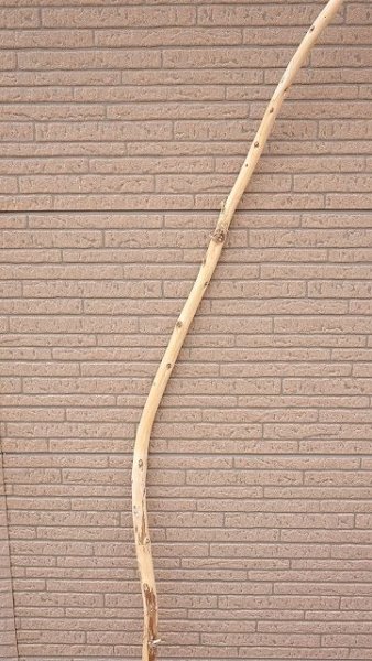 画像3: 棒流木・長尺 (3)