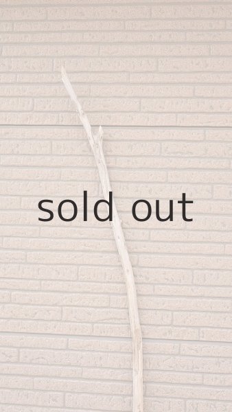 画像4: 棒流木・長尺 (4)