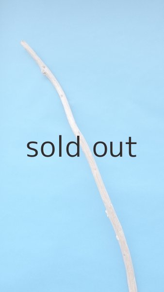 画像4: 棒流木・長尺 (4)