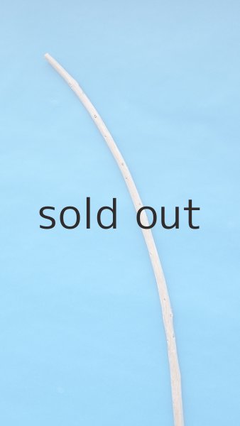 画像3: 棒流木・長尺 (3)