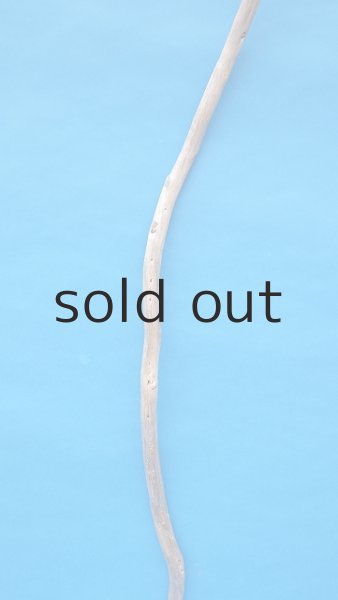 画像3: 棒流木・長尺 (3)