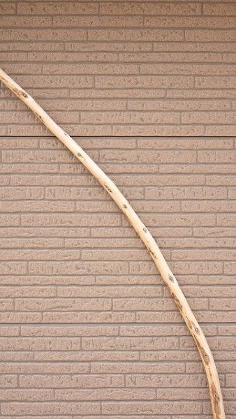 画像4: 棒流木・長尺 (4)