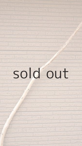 画像4: 棒流木・長尺 (4)