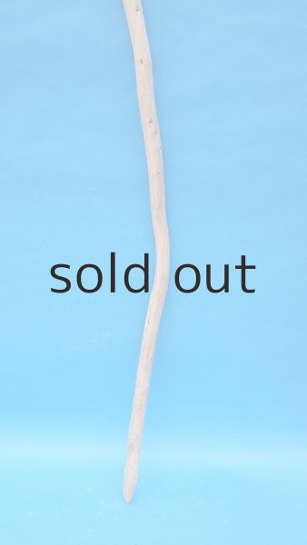 画像2: 棒流木 (2)