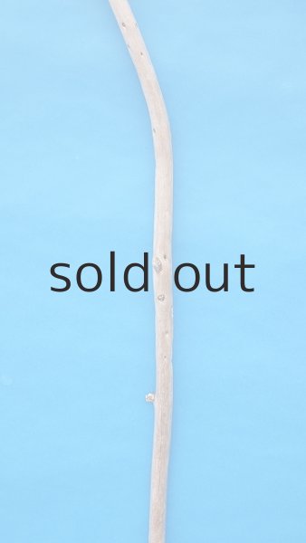 画像3: 棒流木・長尺 (3)