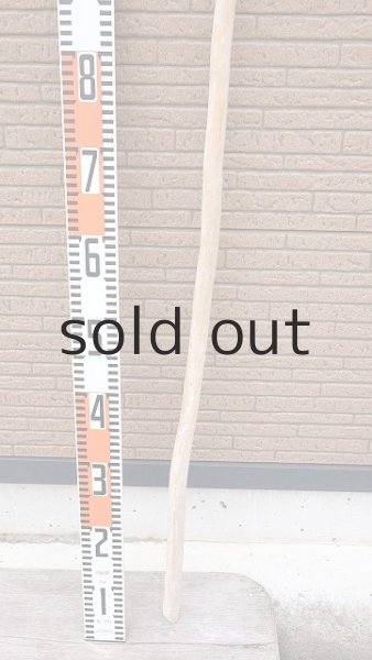 画像5: 棒流木・長尺 (5)