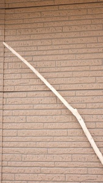 画像5: 棒流木・長尺 (5)