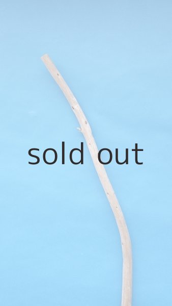 画像4: 棒流木・長尺 (4)