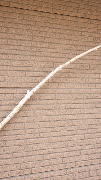 画像4: 棒流木・長尺 (4)