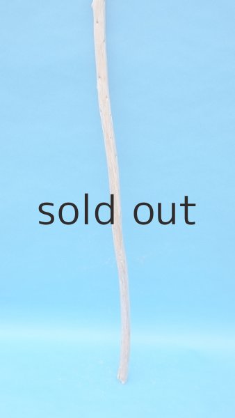 画像2: 棒流木・長尺 (2)