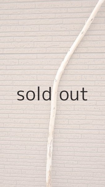 画像3: 棒流木・長尺 (3)