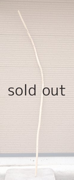 画像2: 棒流木・長尺 (2)